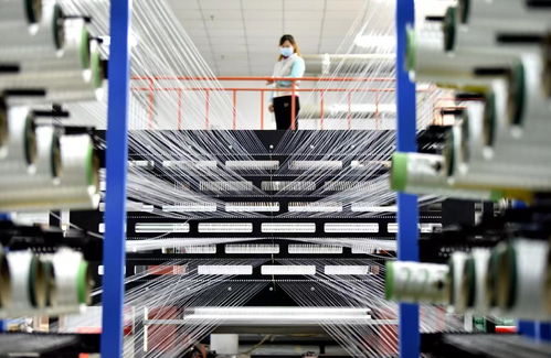 2023年复旦管理学奖三大奖项揭晓，软件科技领域技术创新成果获殊荣